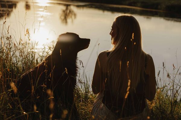 Hund und Besitzer im Sonnenuntergang