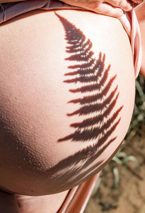 Schatten eines Farns auf dem Babybauch
