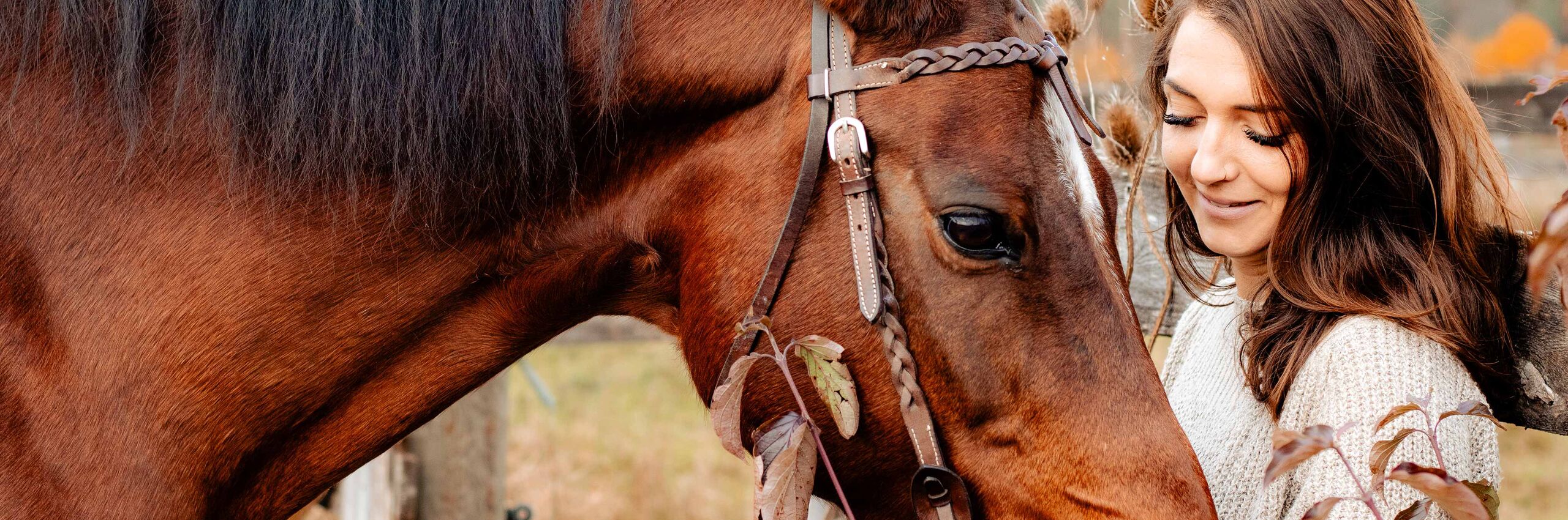 Porträtshooting mit Pferd