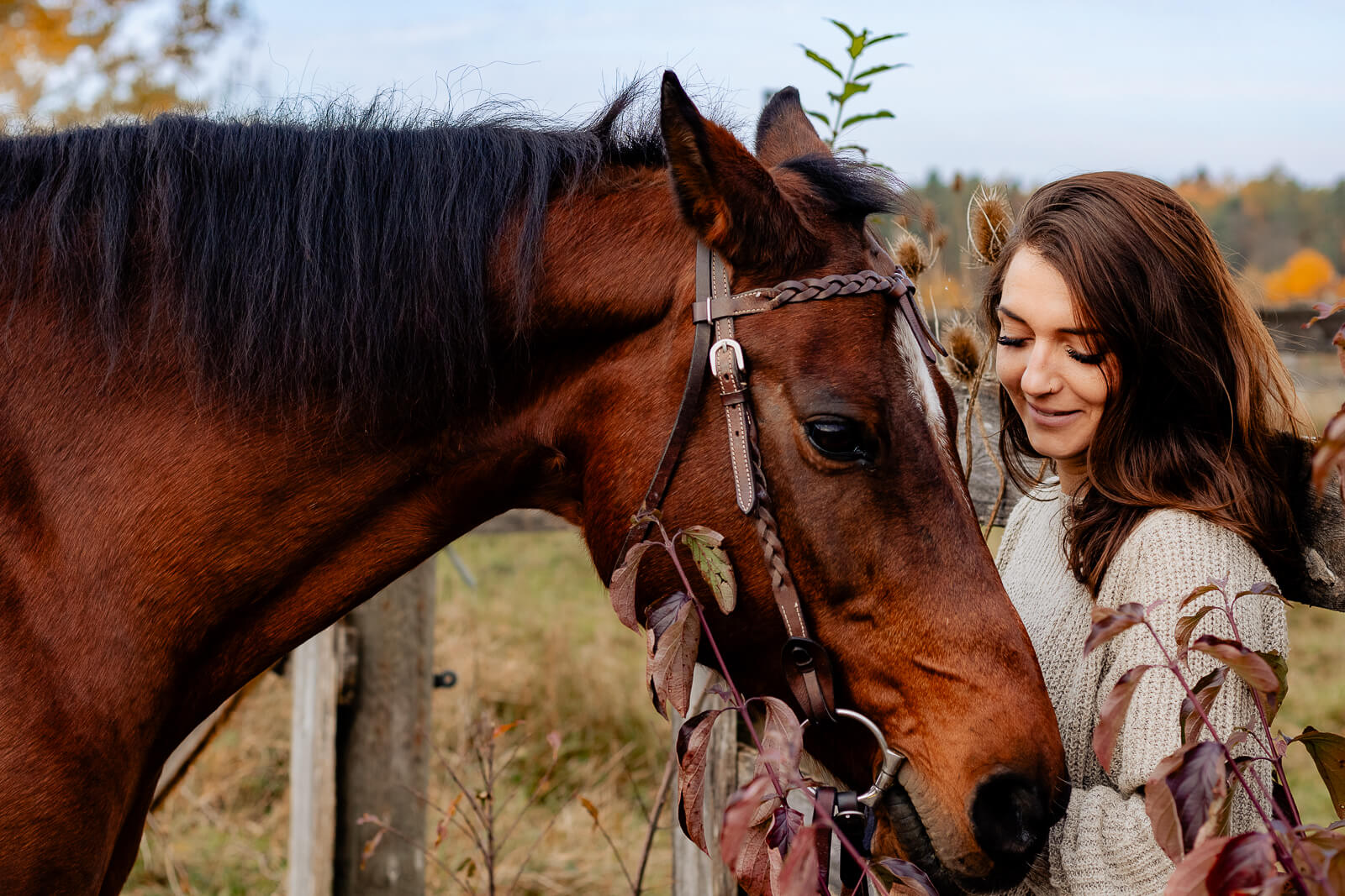 Eine Frau und ihr Pferd, fotografiert von Porträtfotograf Nürnberger Land