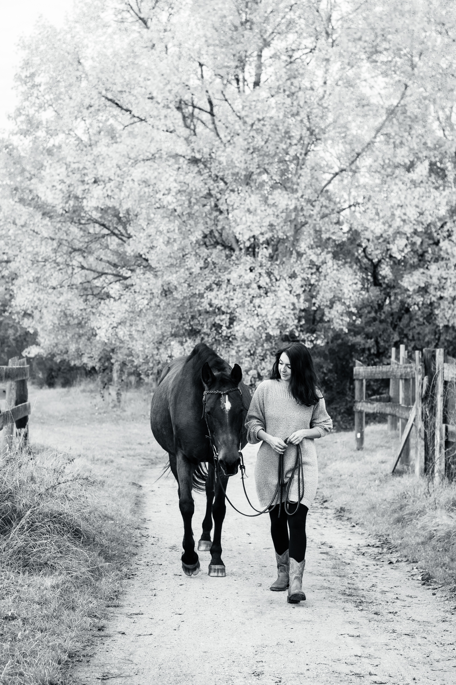Eine Frau und ihr Pferd, fotografiert von Porträtfotograf Nürnberger Land